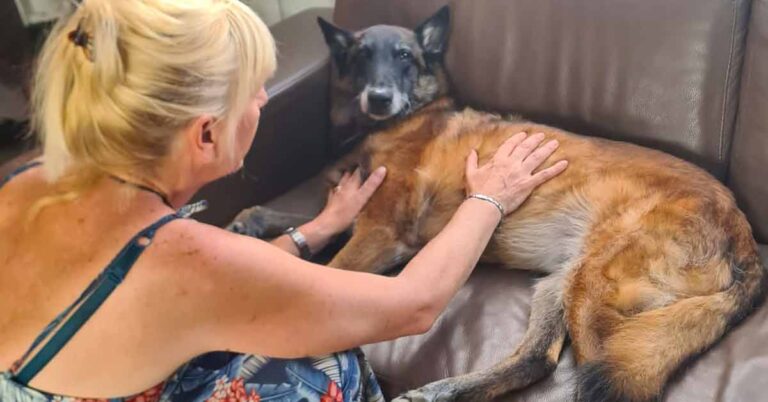 Feniks Fascia release therapie voor honden