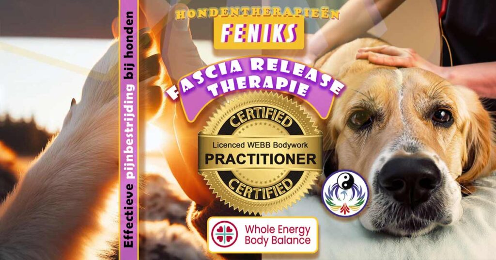 FASCIA-RELEASE-THERAPIE-bij-honden-feniks-hondentherapie-effectieve-pijnbestrijding-webb-methode