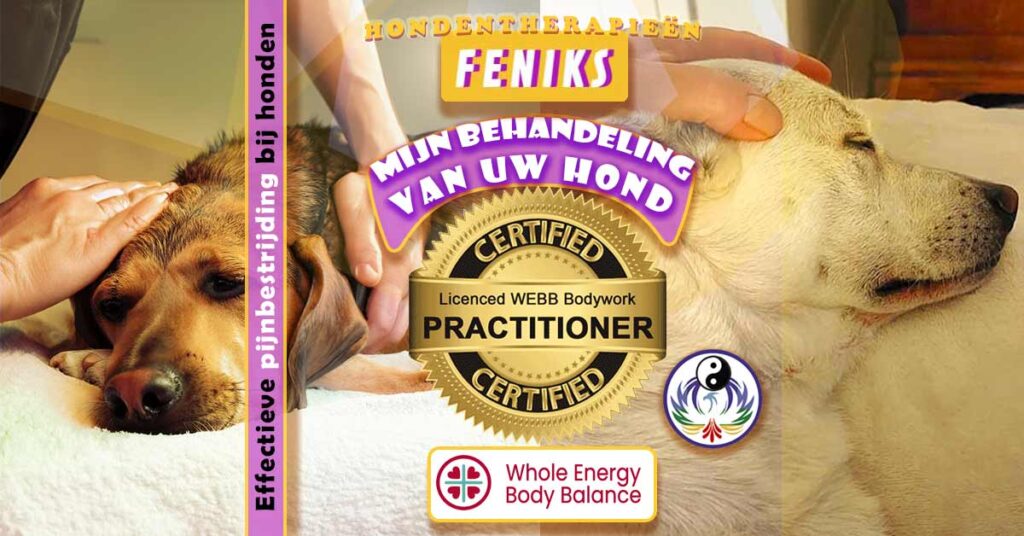 Mijn behandeling van uw hond, fascia release therapie en holistische therapieën voor effectieve pijnbestrijding bij honden.