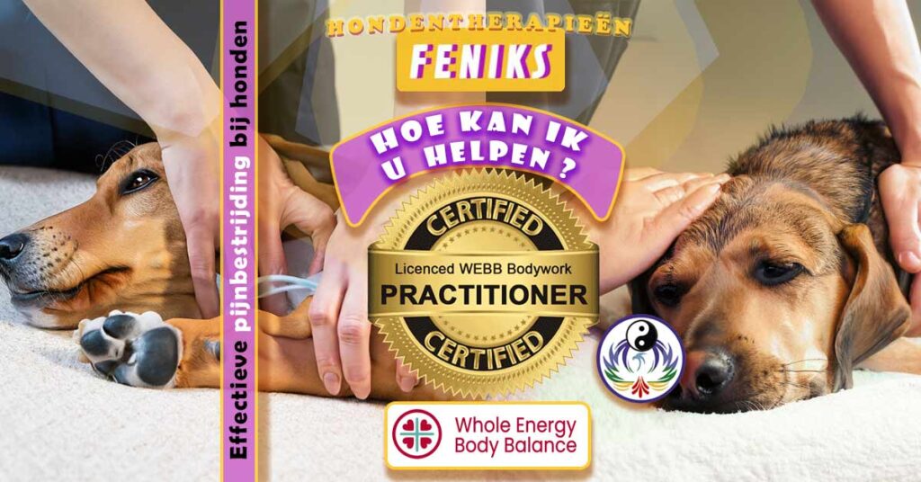 Hoe kan ik u en uw hond helpen. effectieve pijnbestrijding. fascia release therapie webb methode